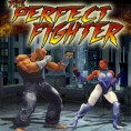 The Perfect Fighter